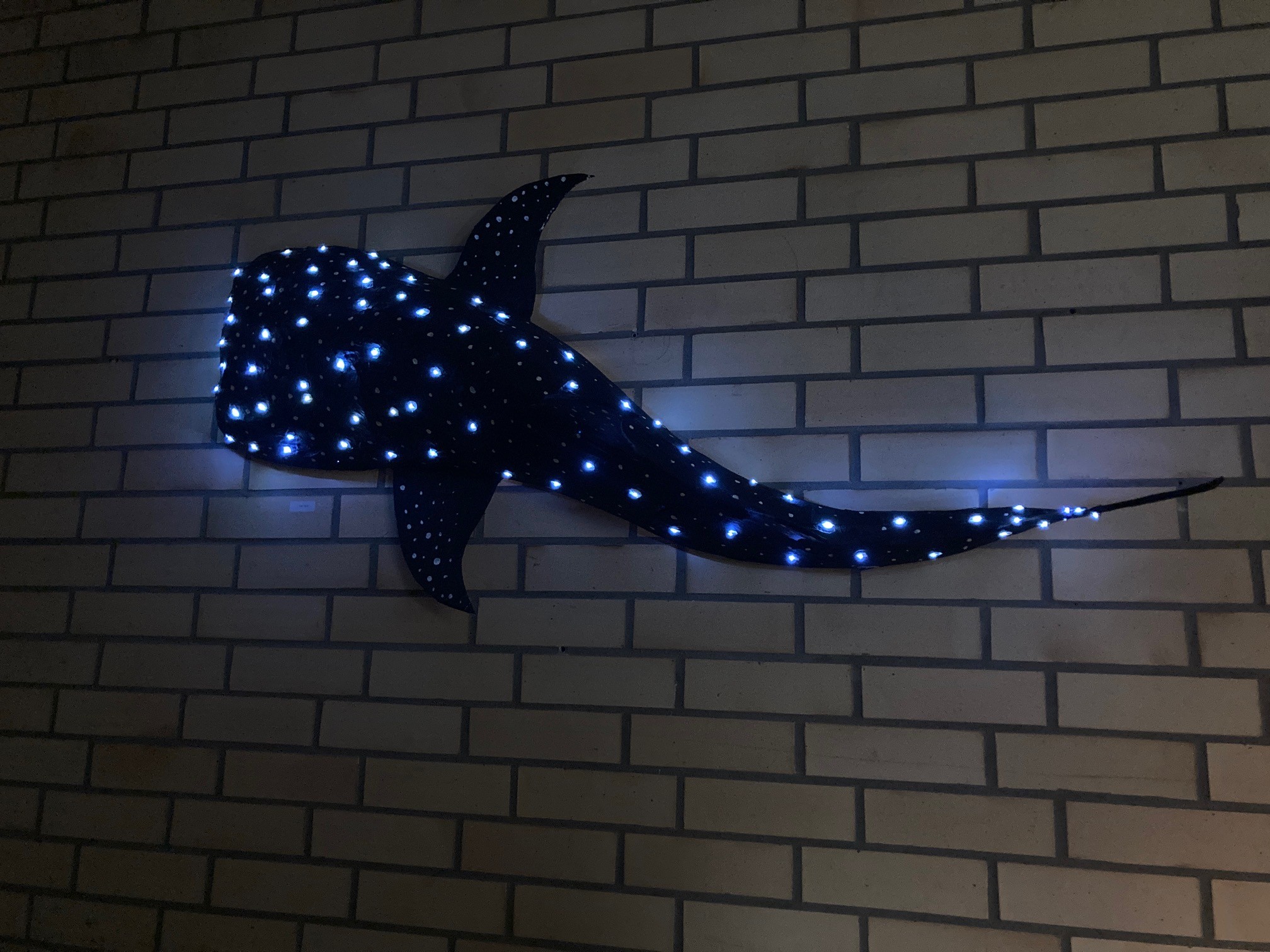 Kunst Lichtobjekt Fisch. 