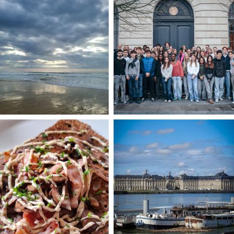 Impressionen vom Schüleraustausch in Bordeaux 2026. 